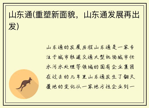 山东通(重塑新面貌，山东通发展再出发)