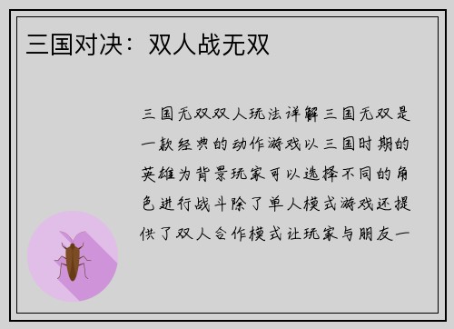 三国对决：双人战无双
